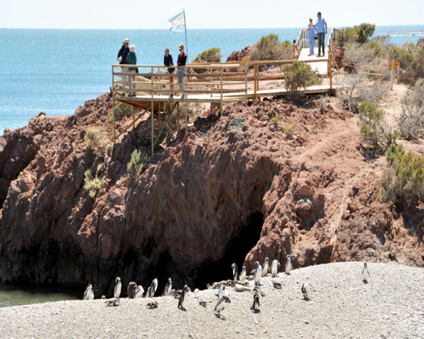 MIRADOR PUNTA TOMBO