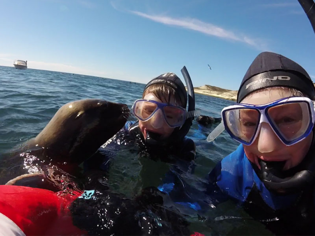 SNORKELING CON LOBOS MARINOS