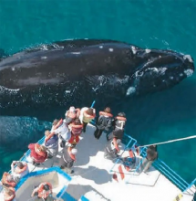Puerto Madryn